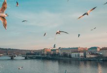 Фото - Продажи новых квартир в Праге сократились на 75%