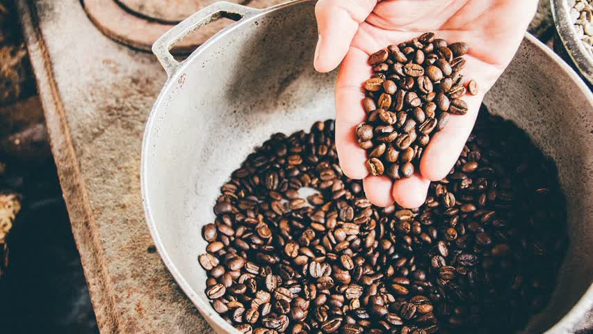 Фото - Nestle потратит миллиард долларов на спасение кофе